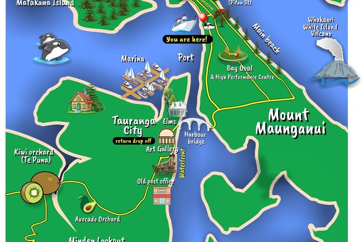 TAURANGA City & Scenic Sightseeing 2-hour Local Bus Tour - Photo 1 of 25